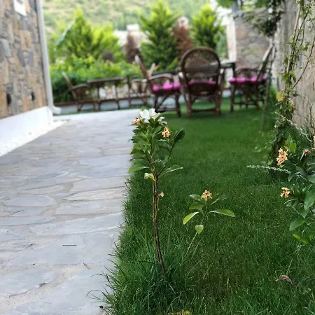 Pharos מלון דטקה